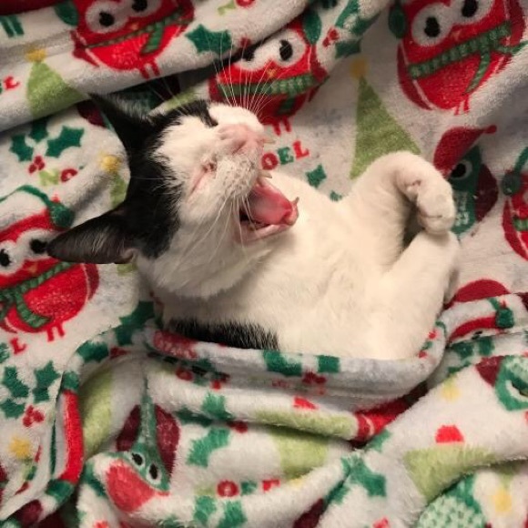 🦊Meet Your Posher, Heather!🦊 - Picture 2 of 6